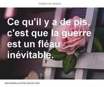Citations Voltaire