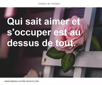 Citations Voltaire