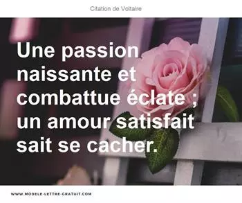 Citations Voltaire