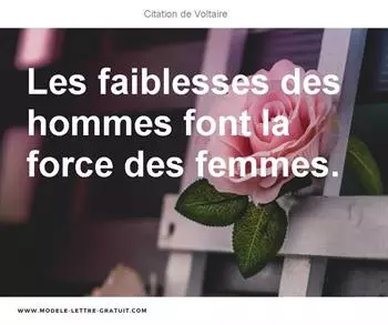 Citations Voltaire