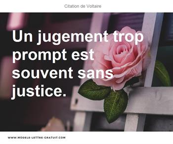 Citations Voltaire