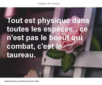 Citations Voltaire