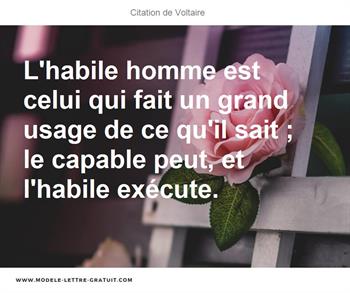 Citations Voltaire
