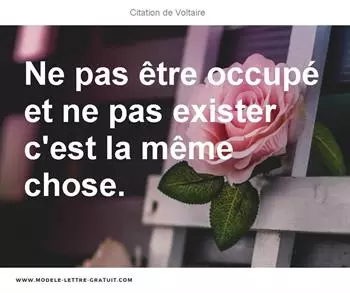 Citations Voltaire
