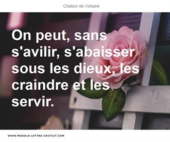 Citations Voltaire