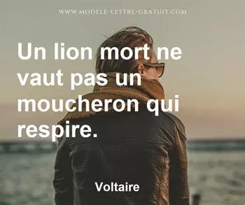 Citation de Voltaire