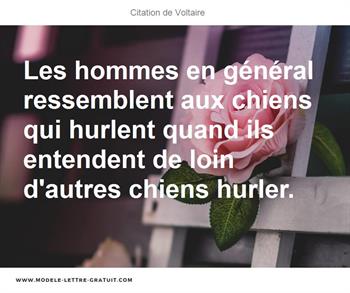 Citations Voltaire