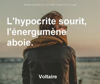 Voltaire A Dit L Hypocrite Sourit L Energumene Aboie