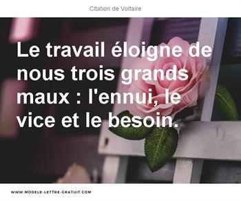 Citations Voltaire