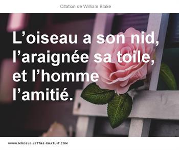 L Oiseau A Son Nid L Araignee Sa Toile Et L Homme L Amitie