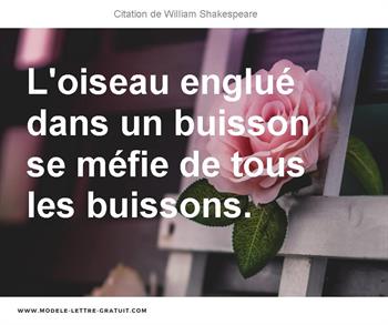 Citations William Shakespeare