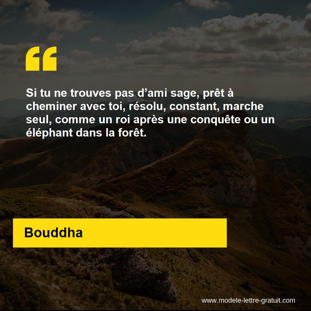 Si Tu Ne Trouves Pas D Ami Sage Pret A Cheminer Avec Toi Bouddha
