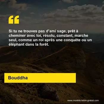 Citation Bouddha