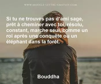 Citation de Bouddha