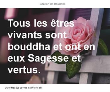 Citations Bouddha