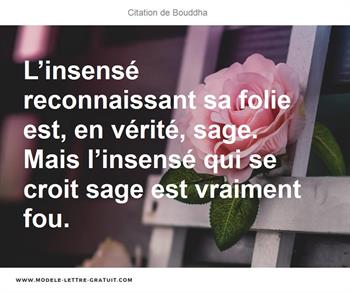 Citations Bouddha