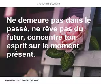 Citations Bouddha