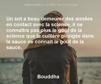 Citation de Bouddha