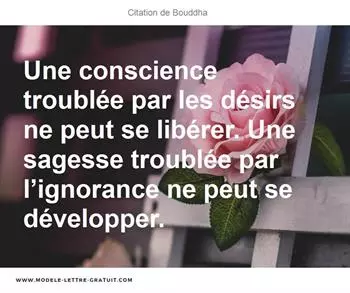 Citations Bouddha