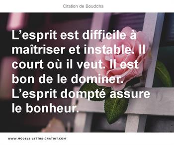 Citations Bouddha