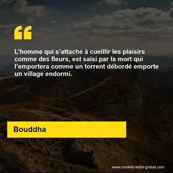 Citation Bouddha