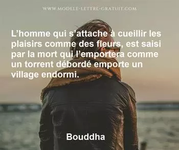 Citation de Bouddha