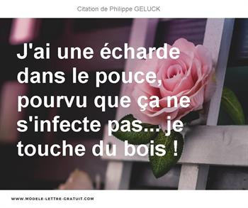 Citations Philippe GELUCK