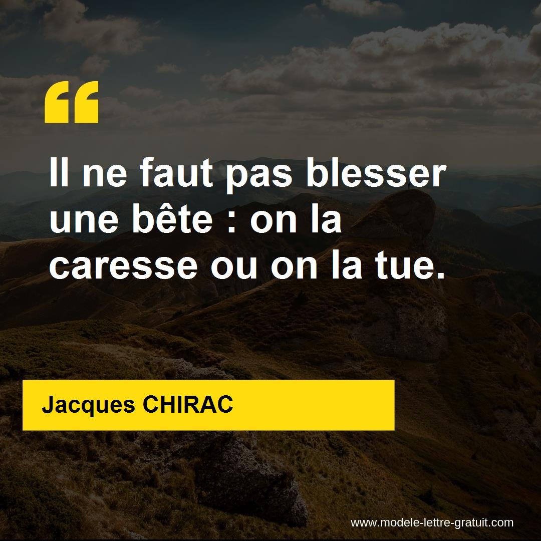 Il Ne Faut Pas Blesser Une Bete On La Caresse Ou On La Tue