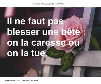 Il Ne Faut Pas Blesser Une Bete On La Caresse Ou On La Tue