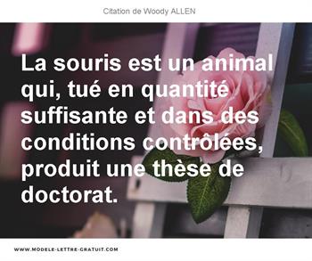 La Souris Est Un Animal Qui Tue En Quantite Suffisante Et Dans Woody Allen