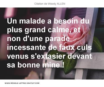 Un Malade A Besoin Du Plus Grand Calme Et Non D Une Parade Woody Allen