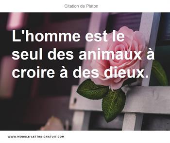 Citations Platon