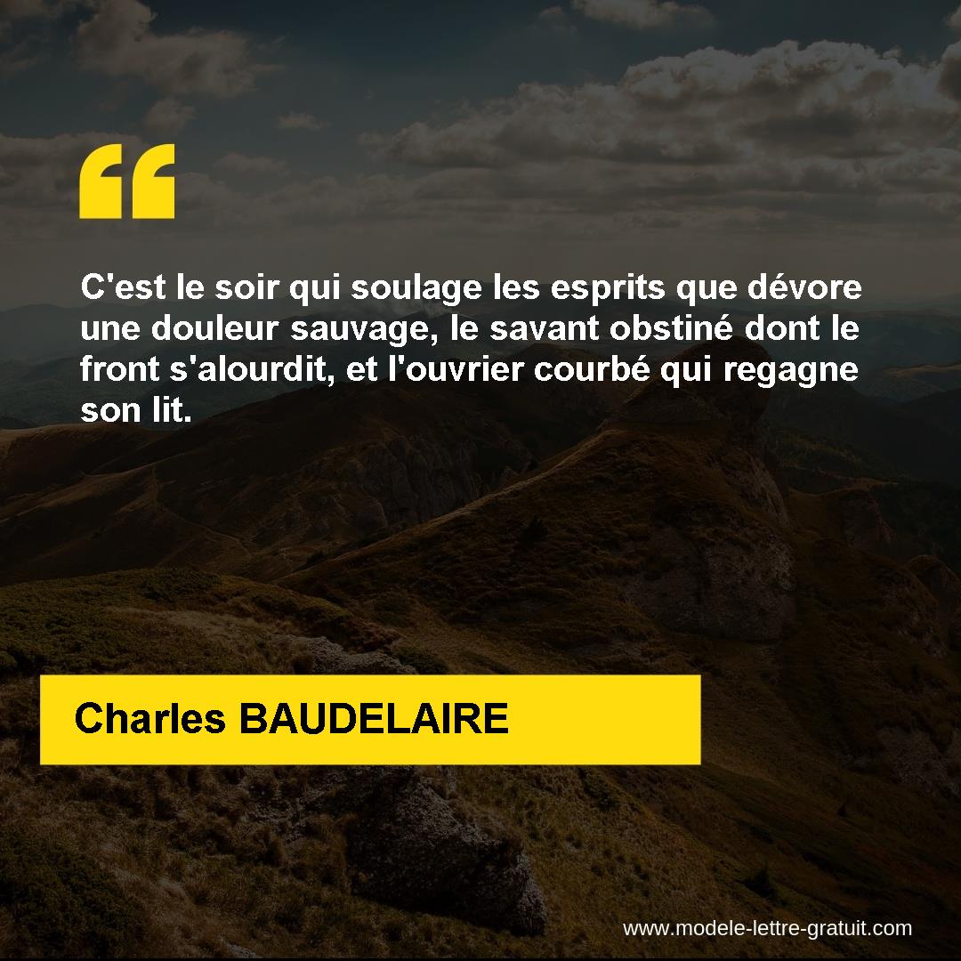 C Est Le Soir Qui Soulage Les Esprits Que Devore Une Douleur Charles Baudelaire