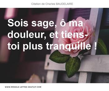 Citations Charles BAUDELAIRE