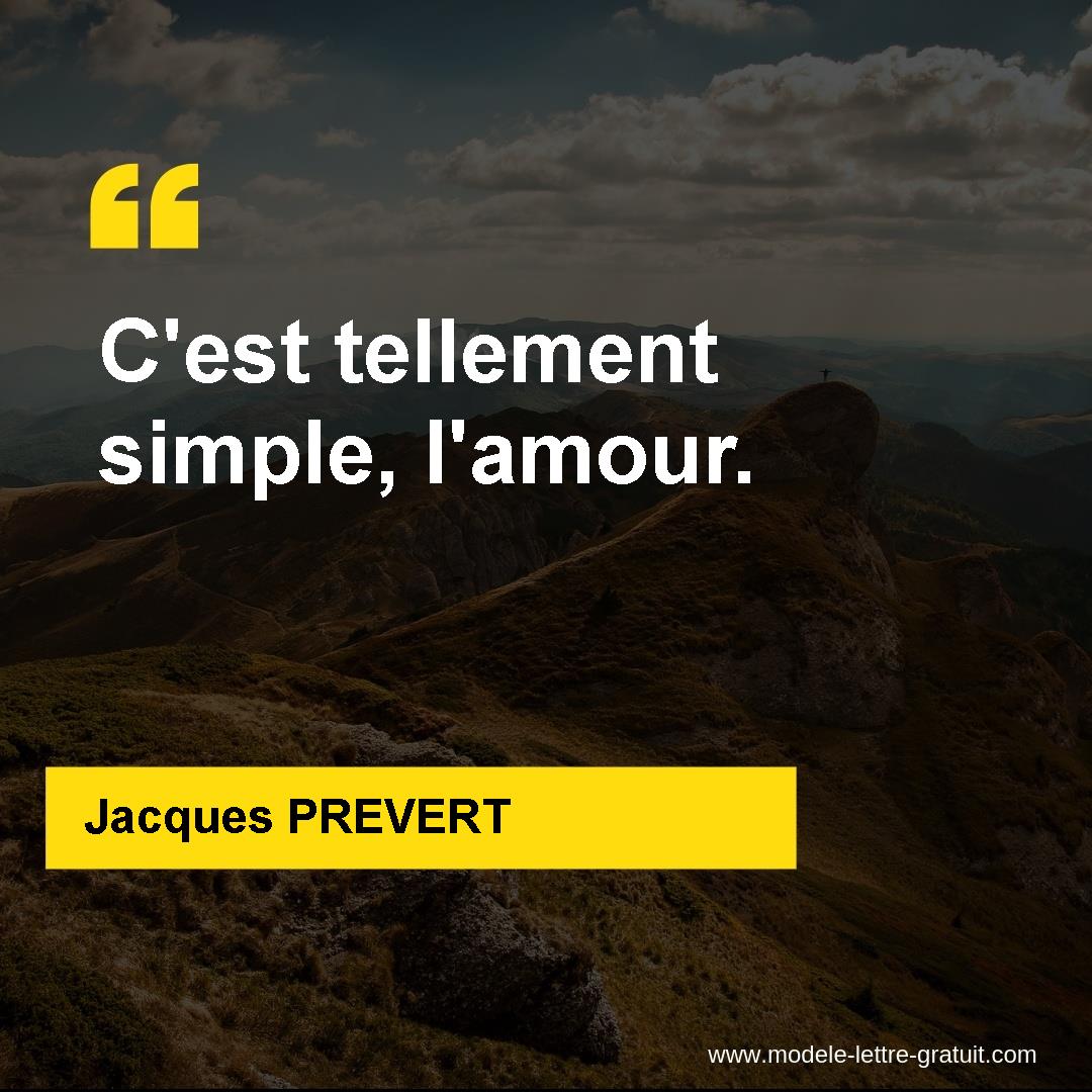 C Est Tellement Simple L Amour Citation L Amour C Est Complique - Qiu Citations