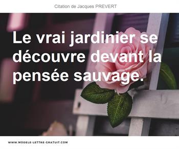 Citations Jacques PREVERT