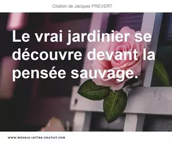 Citations Jacques PREVERT