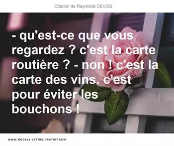 Citations Raymond DEVOS