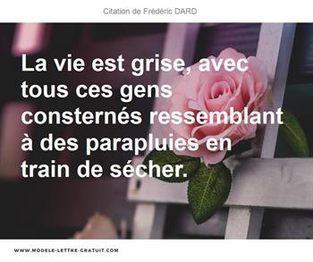 Citations Frédéric DARD