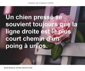 Citations Frédéric DARD