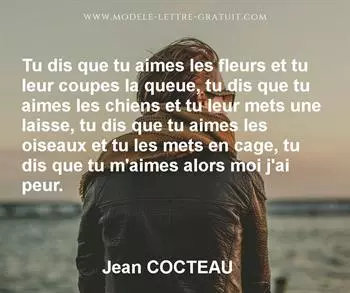 Citation de Jean COCTEAU