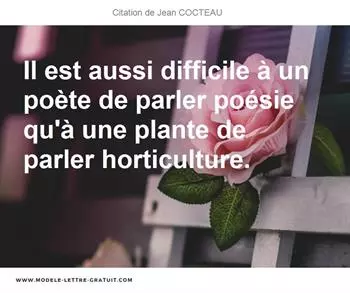 Citations Jean COCTEAU