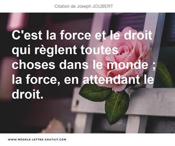 Citations Joseph JOUBERT