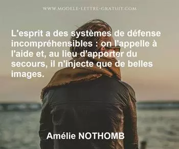 Citation de Amélie NOTHOMB