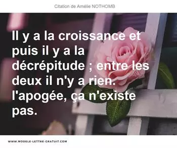 Citations Amélie NOTHOMB