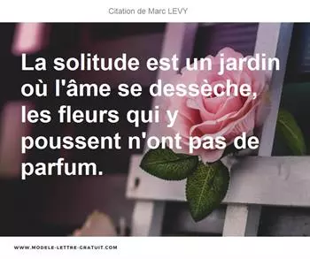 Citations Marc LEVY