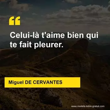 Citation Miguel DE CERVANTES