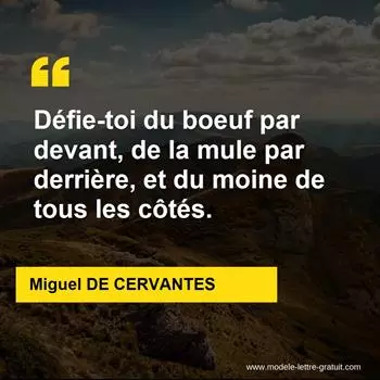Citation Miguel DE CERVANTES