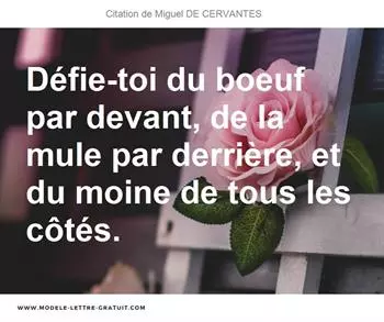 Citations Miguel DE CERVANTES