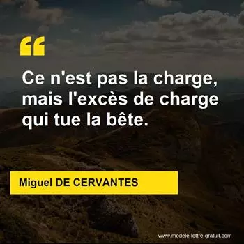 Citation Miguel DE CERVANTES